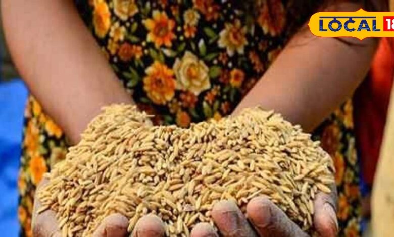 राजस्थान सरकार का बड़ा फैसला, अब कलेक्टर भी जोड़ सकेंगे खाद्य सुरक्षा सूची में नाम, जानें क्या होगा फायदा