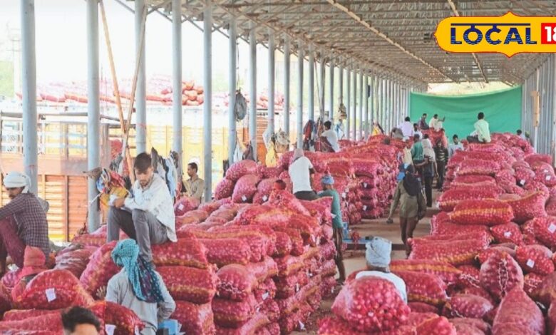 प्याज के उतार-चढ़ाव से किसानों में निराशा, 8 से 11.50 रुपए प्रति किलो भाव, 20 हजार हेक्टेयर में खेती