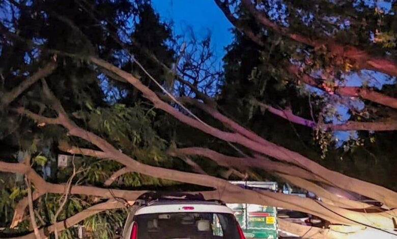 IMD Weather News: दिल्लीवालों की मौज, पर बंगाल से लेकर केरल तक में 7 दिन रहेंगे भारी, सावधान रहने का अलर्ट - imd weather news temperature cool down in delhi ncr pre monsoon rain alert west bengal kerala bihar up mausam samachar