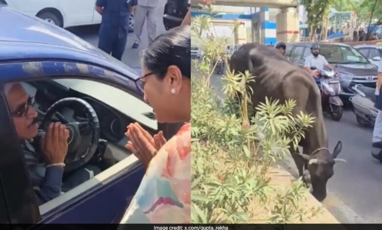 Delhi Chief Minister Sees Man Feeding Roti To Cow On Busy Road. Does This