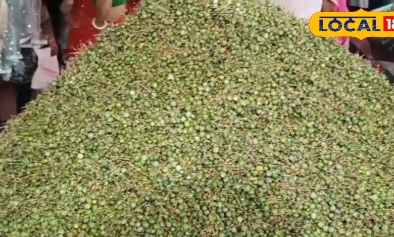 राजस्थान का सूखा मेवा! लोग रुक-रुक कर खरीदते हैं ये सब्जी, सेहत के लिए रामबाण, चौंका देगी कीमत