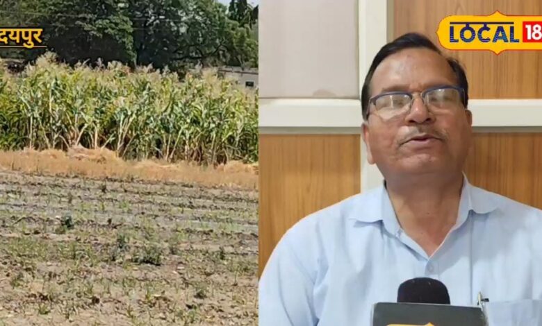प्राकृतिक खेती का हब बनेगा उदयपुर, एमपीयूएटी से तैयार होंगे मास्टर ट्रेनर्स, लाखों किसान को मिलेगा लाभ