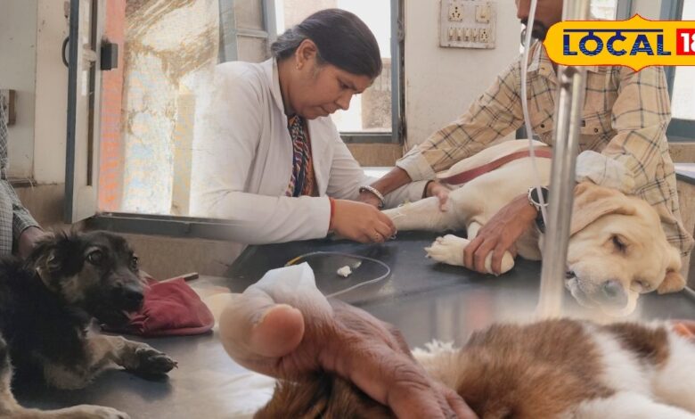 Heat Wave: राजस्थान में गर्मी का कहर, इंसानों के साथ पालतू जानवर भी परेशान, तेज गर्मी से राहत के लिए यह करें उपाय