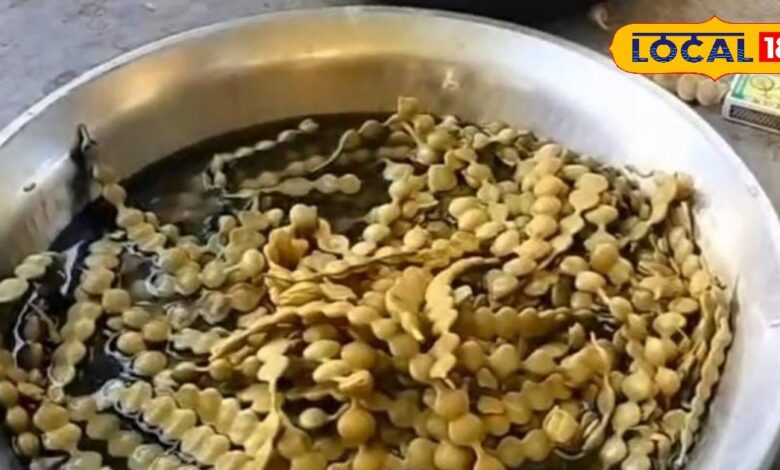 सिर्फ 3 महीने मिलता हैं ये फल,पुरुषों के लिए वरदान, खाने से आती है घोड़े जैसी ताकत, जानें और फायदे