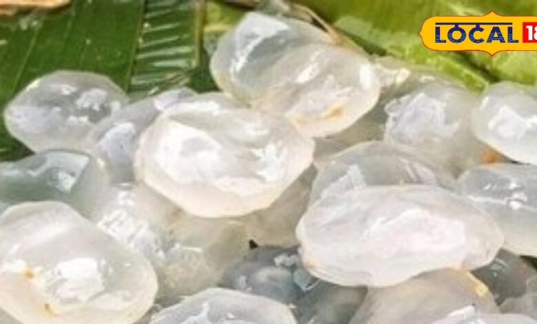 गर्मियों में सेहत के लिए वरदान हैआइस एप्पल, जानें गजब के फायदे