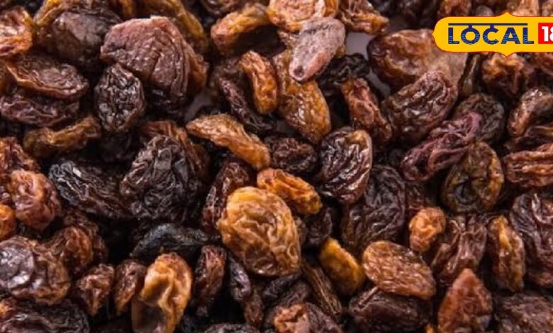 Benefits of Munakka: मुनक्का है सुपरफूड, टाइफाइड, खून की कमी जैसी बीमारियों में रामबाण, शरीर रहेगा तंदुरुस्त