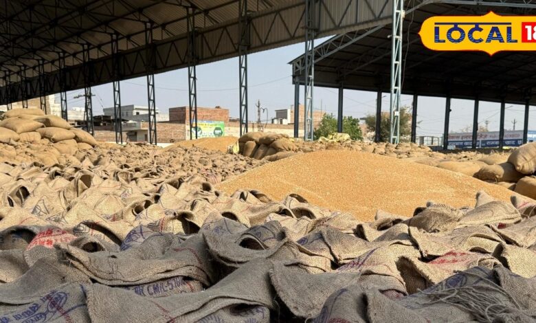 Wheat Procurement: श्रीगंगानगर कृषि उपज मंडी 'पीले सोने' से गुलजार, रोजाना पहुंच रहे पौने दो लाख बैग, किसान-व्यापारी खुश...