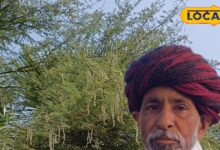 दवा से कम नहीं है ये देसी पेड़, औषधीय गुणों भरा है इसका पत्ता और तना, चुटकियों में गायब होगा घुटनों का दर्द