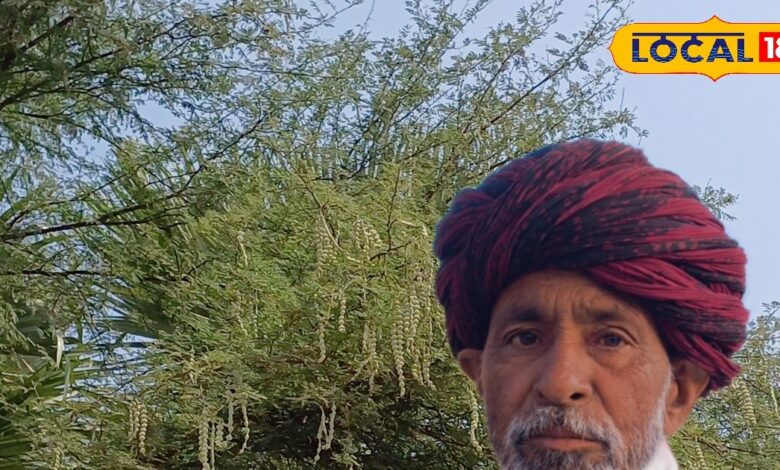 दवा से कम नहीं है ये देसी पेड़, औषधीय गुणों भरा है इसका पत्ता और तना, चुटकियों में गायब होगा घुटनों का दर्द