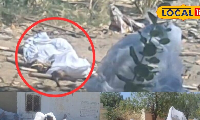 श्मशान में मचा कोहराम, मधुमक्खियों के हमले से तितर-बितर हुए लोग, अंतिम संस्कार के हुआ लिए जद्दोजहद