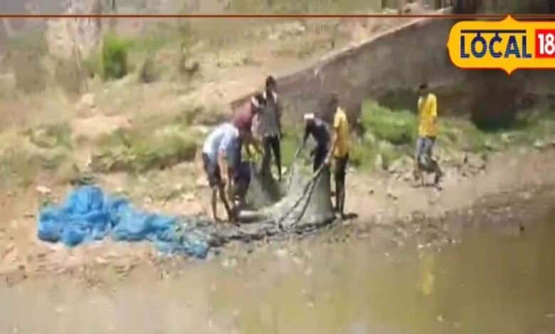 Dausa Fish Rescue: माधो सागर बांध में मछलियों की मौत पर प्रशासन अलर्ट