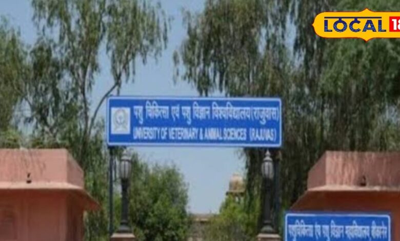 राजस्थान जेईटी 2025: राजस्थान में कृषि डिग्री के लिए जेट परीक्षा के लिए आवेदन शुरू, यहां जानें परीक्षा तिथि