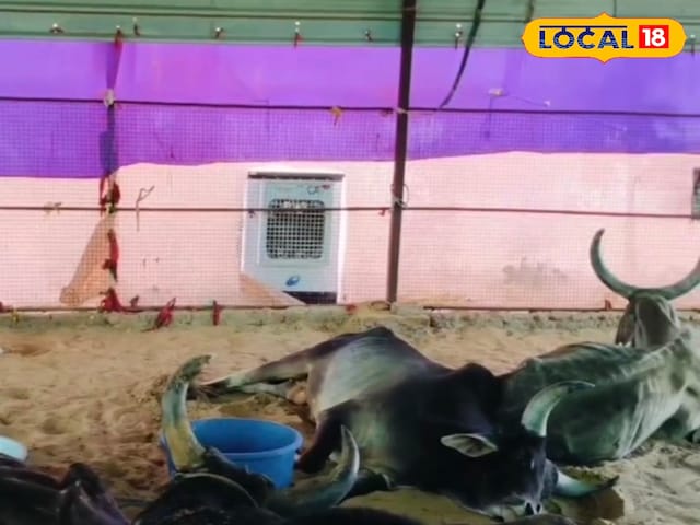 कूलर