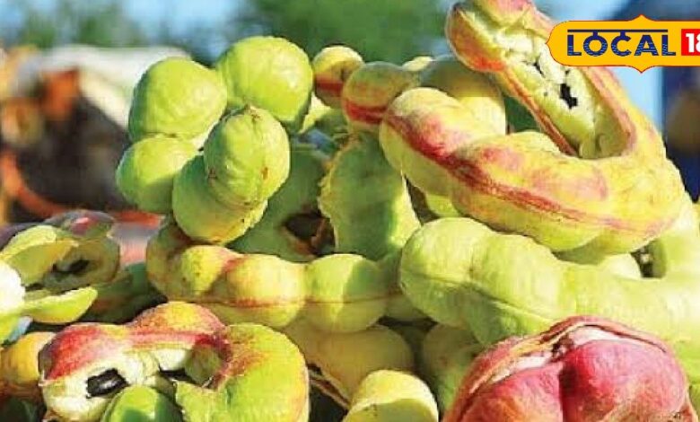 Ganga tamarind fruit found in villages know health benefits – News18 हिंदी