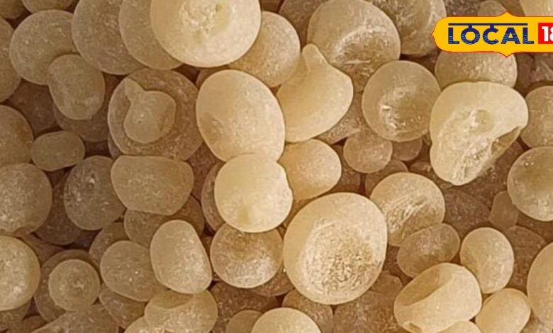 Health Tips: चमत्कारी औषधि है ये बीज, दर्द को करता है मिनटो में दूर, शरीर को देता है फौलादी ताकत