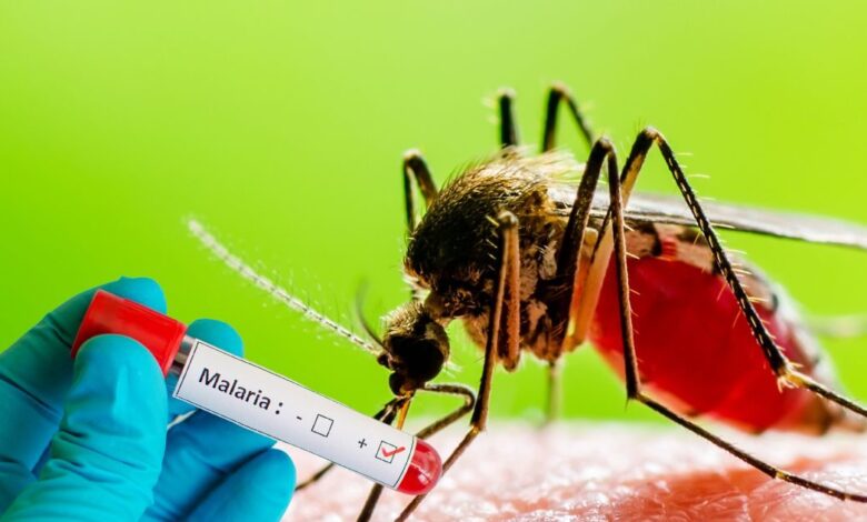 India will eliminate malaria by 2027 -2027 तक देश से मलेरिया हो जाएगा पूरी तरह से खत्म, सरकार उठा रही है बड़ा कदम, हारेगी बीमारी