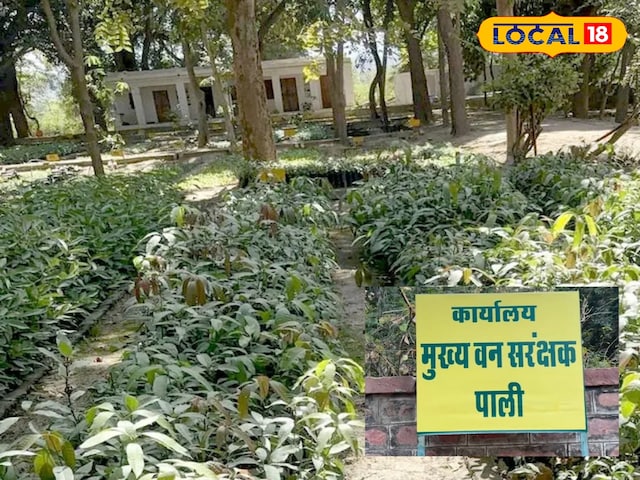 वन