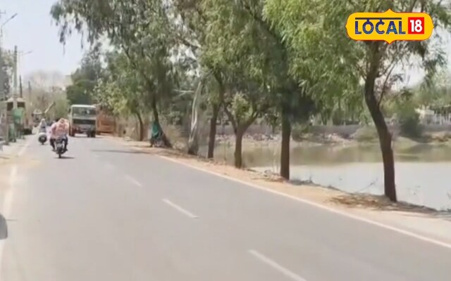 पाली