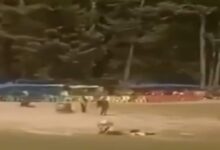 Video Captures Horror, Mayhem As Terrorists Targeted Tourists