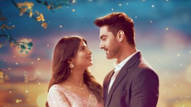 Yrkkh Update: रूही की गायब होने से मची हलचल, अरमान का फूटा गुस्सा! कावेरी की बात से टूटी अभिरा