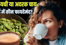 cardamom tea more beneficial than ginger tea in summer must drink for cool body digestion or more say expert | इलायची या अदरक वाली चाय... गर्मी में अधिक फायदेमंद कौन? कंफ्यूज हैं तो एक्सपर्ट से जान लें सच्चाई
