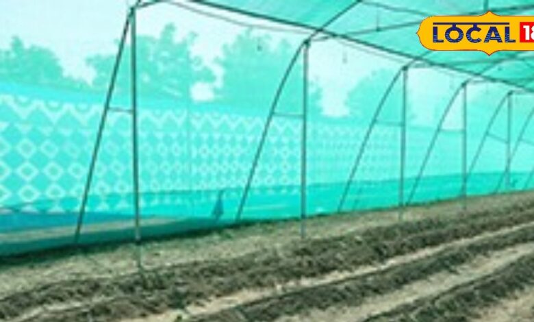 इन योजना से तपती धूप में फसल रहेगी सुरक्षित, किसानों की हो जाएगी बल्ले-बल्ले