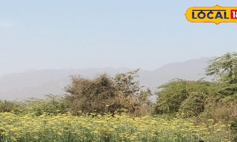 किसान-इन्वेस्टर्स एक क्लिक में ले सकेंगे योजनाओं व सिब्सिडी स्कीम्स की जानकारी