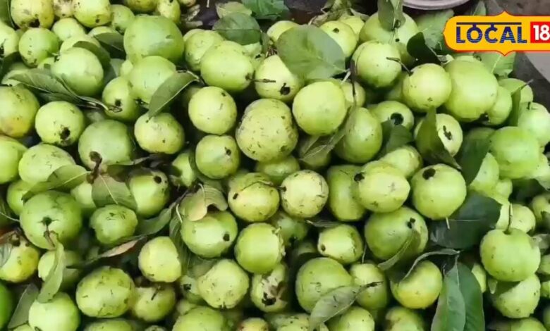 किसी सुपरफूड से कम नहीं है ये फल... पेट से लेकर बालों और स्किन तक में फायदेमंद, वजन भी करे कंट्रोल