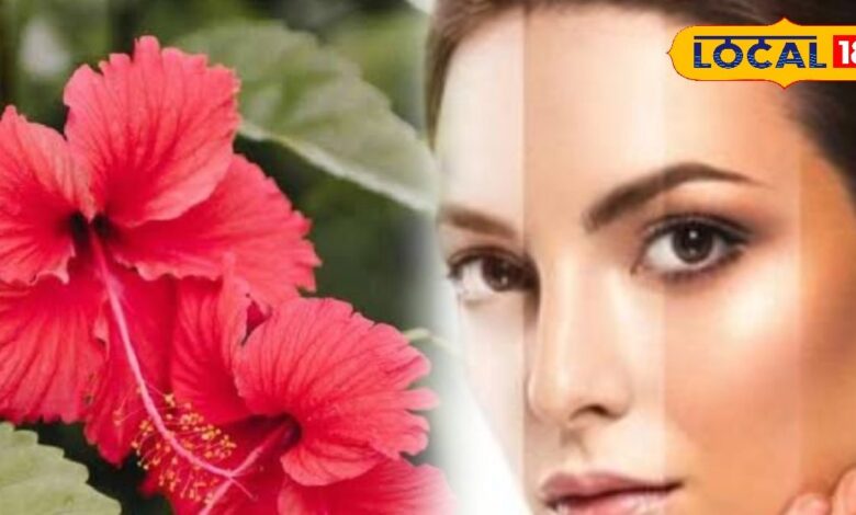 गर्मी में अमृत है ये फूल, चेहरे, हाथ-पैर पर लगाएं इसका लेप, धूप में दबा रंग खिल उठेगा, पूरे साल चमकेंगे!