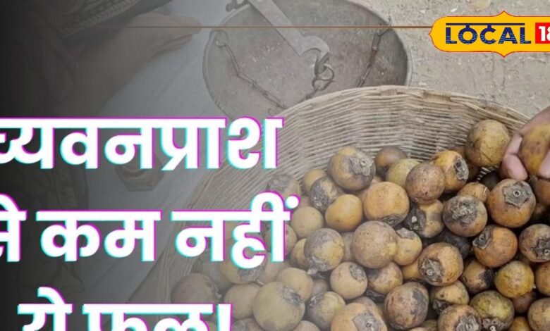 ताकत के मामले में च्यवनप्राश से कम नहीं ये फल... सिर्फ मार्च-अप्रैल में मिलता है, जानें क्या है खूबी!