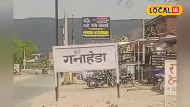  गन्ने