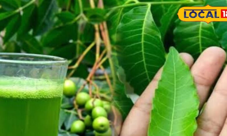 स्वाद में कड़वा... मगर सेहत के लिए असरदार, ये हरा पत्ता बॉडी के लिए फायदेमंद