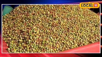 कैर सांगरी की चटपटी सब्जी और आचार का अद्वितीय है स्वाद