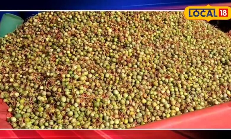 कैर सांगरी की चटपटी सब्जी और आचार का अद्वितीय है स्वाद