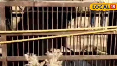 100 फीट गहरा कुआं... प्यासा भालू... और 5 घंटे का सांस रोक देने वाला रेस्क्यू!