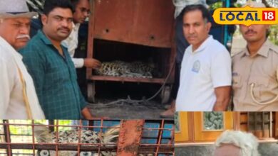 मकान के कीचन में किसी ने दी दस्तक, बर्तन गिरने पर पहुंचा बुजुर्ग देखते ही पांव तले खिसक गई जमीन