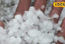 जयपुर में पश्चिमी विक्षोभ से मौसम बदला, कई जिलों में बारिश-ओले.