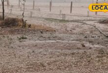Nagore Weather Update: नागौर में अचानक बदला मौसम का मिजाज़, तेज बारिश के साथ गिरे ओले, मौसम विभाग का अलर्ट जारी 