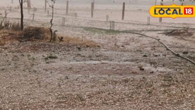 Nagore Weather Update: नागौर में अचानक बदला मौसम का मिजाज़, तेज बारिश के साथ गिरे ओले, मौसम विभाग का अलर्ट जारी 