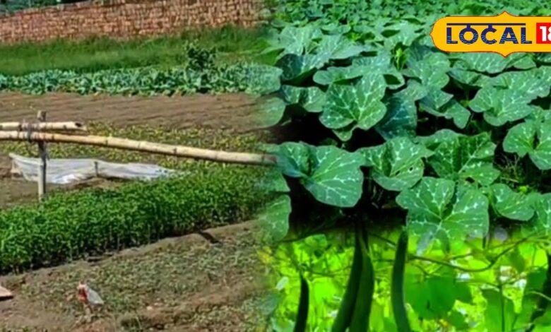 Cultivate these vegetables in summer season and get good profits, they are in high demand in the market too