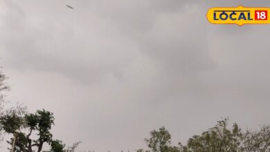 Sikar Weather Update: सीकर में पश्चिमी विक्षोभ का असर,आंधी-बारिश से गर्मी से राहत, खेतों को मिली संजीवनी