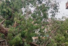 Rajasthan Top News : बेरहम मौसम ने ली 2 की जान, जोधपुर में लाठीचार्ज, नीट यूजी परीक्षा आज, पढ़ें ताजा अपडेट