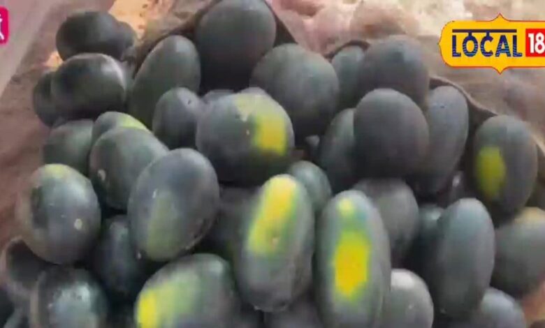 BA pass youth is selling watermelon, started commercial farming due to lack of profit from traditional farming, unemployment was also a major reason.