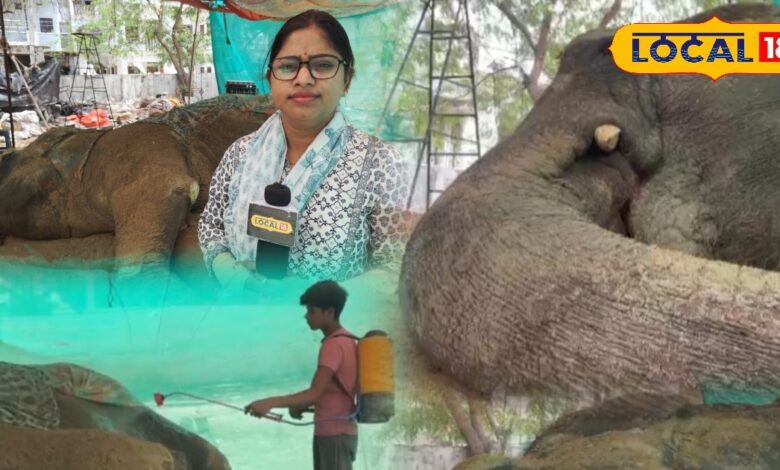 75-Year-Old Elephant 'Ramu' Battles Severe Illness in Udaipur, Vantara Experts Join Ongoing Treatment with Hydra Crane Support