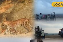 लैपर्ड हिल्स ऑफ इंडिया में बदला मौसम का मिजाज, उमड़ी पर्यटकों की भीड़, ये है खास