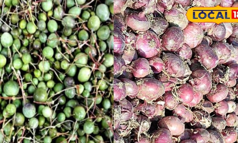 GI Products: सीकर के प्याज और कैर को मिलेगा GI टैग, बढ़ेगी लोकल उत्पादों की पहचान, बाजार में बढ़ेगा दाम