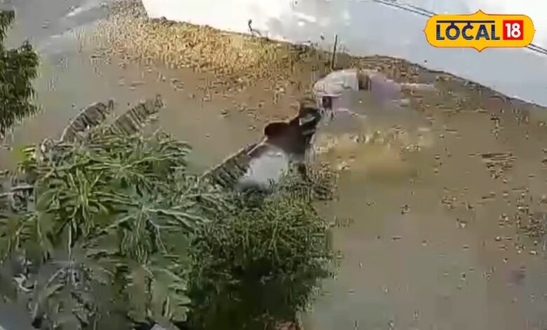 घर के बाहर खड़ा था युवक... फिर आया सांड और जो हुआ वो सीसीटीवी में कैद