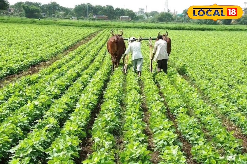 news 18 