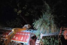Dungarpur News: तेज रफ्तार ट्रक ने 1 दर्जन लोगों को बुरी तरह से रौंदा, 4 की मौके पर ही हुई मौत, मच गई अफरातफरी