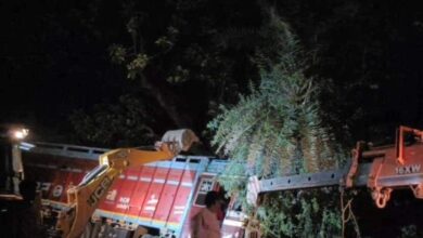 Dungarpur News: तेज रफ्तार ट्रक ने 1 दर्जन लोगों को बुरी तरह से रौंदा, 4 की मौके पर ही हुई मौत, मच गई अफरातफरी